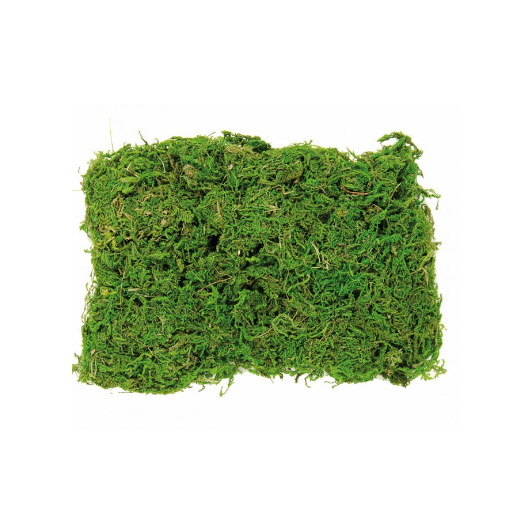 Moss bag 50g